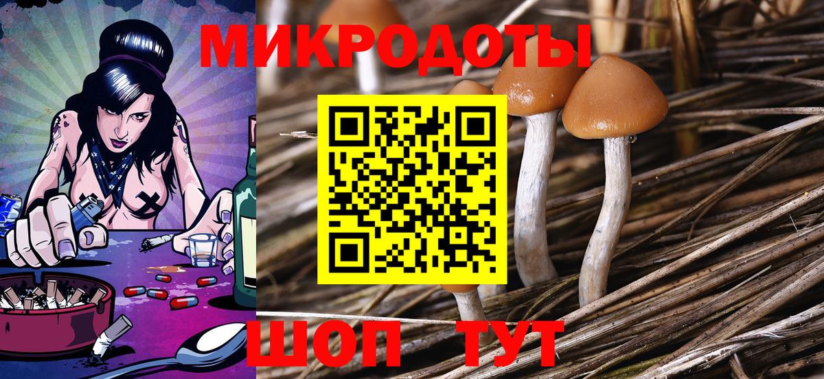 Павловский Посад  Галлюциногенные грибы мицелий  Вход с VPN 