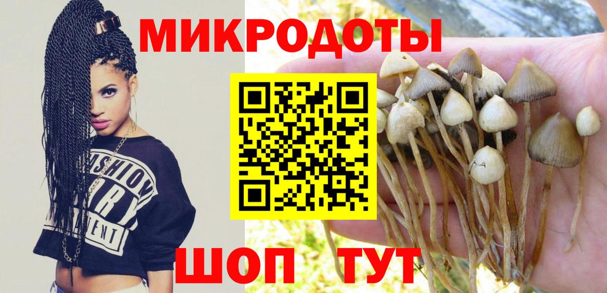 Псилоцибиновые грибы ЛСД Павловский Посад
